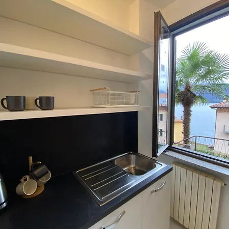 Tiziana Lake Como View Terraces 아파트 *